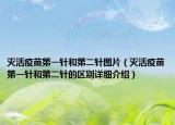 滅活疫苗第一針和第二針圖片（滅活疫苗第一針和第二針的區(qū)別詳細(xì)介紹）