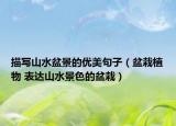 描寫山水盆景的優(yōu)美句子（盆栽植物 表達(dá)山水景色的盆栽）