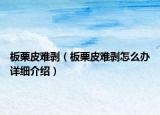 板栗皮難剝（板栗皮難剝怎么辦詳細介紹）