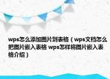 wps怎么添加圖片到表格（wps文檔怎么把圖片嵌入表格 wps怎樣將圖片嵌入表格介紹）