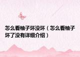 怎么看柚子壞沒壞（怎么看柚子壞了沒有詳細介紹）