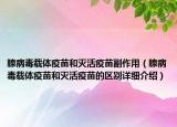 腺病毒載體疫苗和滅活疫苗副作用（腺病毒載體疫苗和滅活疫苗的區(qū)別詳細(xì)介紹）
