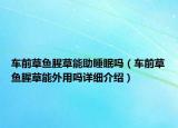 車前草魚腥草能助睡眠嗎（車前草魚腥草能外用嗎詳細介紹）