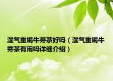 濕氣重喝牛蒡茶好嗎（濕氣重喝牛蒡茶有用嗎詳細(xì)介紹）