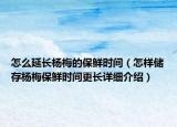 怎么延長楊梅的保鮮時間（怎樣儲存楊梅保鮮時間更長詳細介紹）