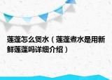 蓮蓬怎么煲水（蓮蓬煮水是用新鮮蓮蓬嗎詳細(xì)介紹）