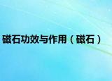 磁石功效與作用（磁石）