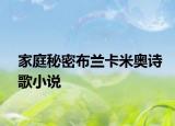家庭秘密布蘭卡米奧詩(shī)歌小說(shuō)