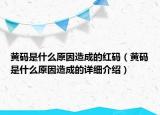 黃碼是什么原因造成的紅碼（黃碼是什么原因造成的詳細介紹）