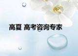 高夏 高考咨詢專家