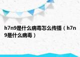 h7n9是什么病毒怎么傳播（h7n9是什么病毒）