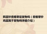 鵝蛋炒香椿芽是發(fā)物嗎（香椿芽炒雞蛋屬于發(fā)物嗎詳細(xì)介紹）