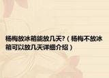 楊梅放冰箱能放幾天?（楊梅不放冰箱可以放幾天詳細介紹）