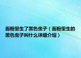 面粉里生了黑色蟲子（面粉里生的黑色蟲子叫什么詳細(xì)介紹）