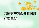 共同財(cái)產(chǎn)怎么分共同財(cái)產(chǎn)怎么分