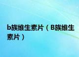 b族維生素片（B族維生素片）