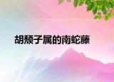 胡頹子屬的南蛇藤