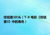 終結(jié)者3片頭（T-X 電影《終結(jié)者3》中的角色）
