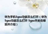 華為手機5gsa功能怎么打開（華為5gsa功能怎么打開 5gsa開關(guān)在哪里開介紹）