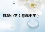 參觀小學(xué)（參觀小學(xué)）