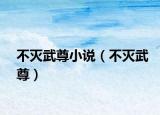 不滅武尊小說（不滅武尊）