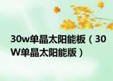 30w單晶太陽能板（30W單晶太陽能版）