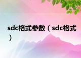 sdc格式參數(shù)（sdc格式）