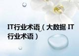 IT行業(yè)術(shù)語（大數(shù)據(jù) IT行業(yè)術(shù)語）