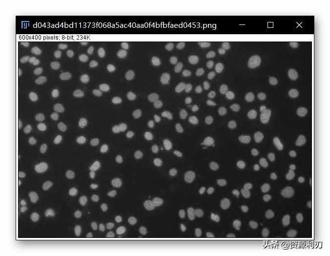 ImageJ使用教程之自動細胞計數(shù)篇