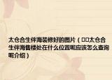 太倉合生伴海裝修好的圖片（??太倉合生伴海售樓處在什么位置呢應(yīng)該怎么查詢呢介紹）