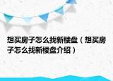想買(mǎi)房子怎么找新樓盤(pán)（想買(mǎi)房子怎么找新樓盤(pán)介紹）