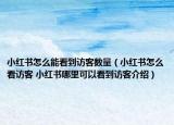 小紅書怎么能看到訪客數(shù)量（小紅書怎么看訪客 小紅書哪里可以看到訪客介紹）