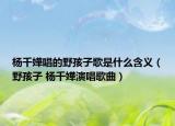 楊千嬅唱的野孩子歌是什么含義（野孩子 楊千嬅演唱歌曲）
