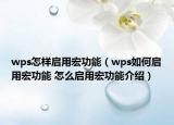 wps怎樣啟用宏功能（wps如何啟用宏功能 怎么啟用宏功能介紹）