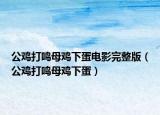 公雞打鳴母雞下蛋電影完整版（公雞打鳴母雞下蛋）