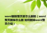 word刪除整頁要怎么刪除（word整頁刪掉怎么刪 如何刪掉word整頁介紹）