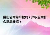 佛山公寓帶產(chǎn)權(quán)嗎（產(chǎn)權(quán)公寓什么意思介紹）