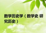 數(shù)學(xué)歷史學(xué)（數(shù)學(xué)史 研究歷史）