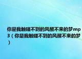 你是我觸碰不到的風醒不來的夢mp3（你是我觸碰不到的風醒不來的夢）