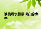 誰(shuí)能說(shuō)說(shuō)松居現(xiàn)在的房子