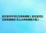 支付寶可不可以交養(yǎng)老保險（支付寶可以交養(yǎng)老保險嗎 怎么交養(yǎng)老保險介紹）