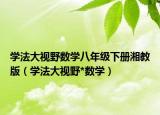 學(xué)法大視野數(shù)學(xué)八年級下冊湘教版（學(xué)法大視野*數(shù)學(xué)）