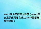 word里分頁符怎么顯示（word怎么顯示分頁符 怎么讓word顯示分頁符介紹）