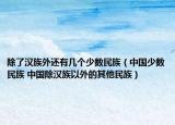 除了漢族外還有幾個少數(shù)民族（中國少數(shù)民族 中國除漢族以外的其他民族）