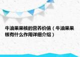 牛油果果核的營養(yǎng)價值（牛油果果核有什么作用詳細(xì)介紹）