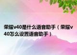 榮耀v40是什么語音助手（榮耀v40怎么設(shè)置語音助手）