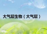 大氣層生物（大氣層）