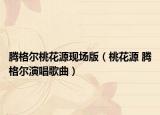 騰格爾桃花源現(xiàn)場(chǎng)版（桃花源 騰格爾演唱歌曲）