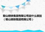 鞍山鋼鐵集團有限公司是什么級別（鞍山鋼鐵集團有限公司）