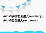 vivos9手機(jī)怎么進(jìn)入recovery（vivos9怎么進(jìn)入recovery）